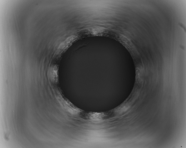 X0000102260527200808011407