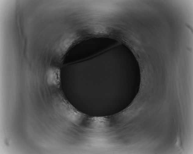 X0000102260528200808011407