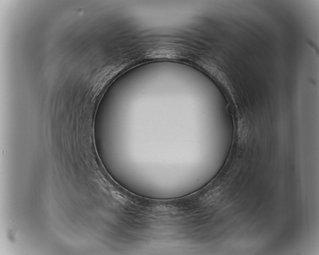 X0000102260529200808011407