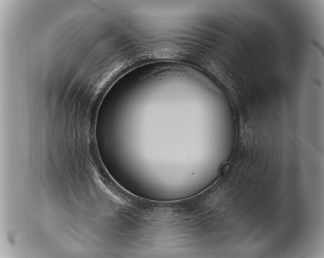 X0000102260530200808011407