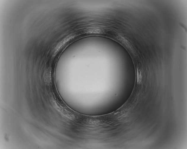 X0000102260531200808011407