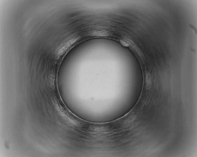 X0000102260533200808011407