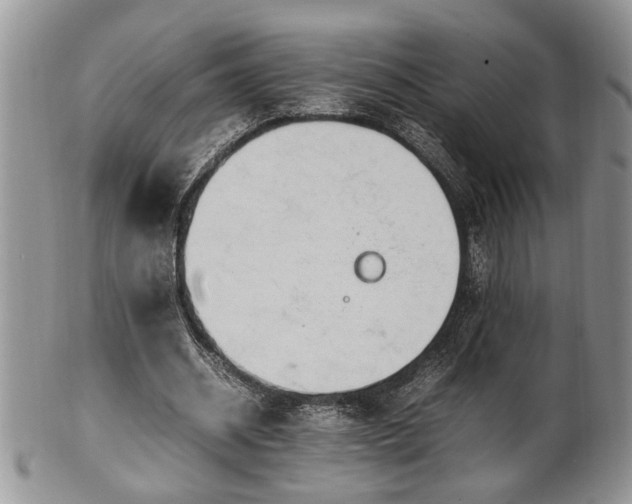 X0000102260534200808011407