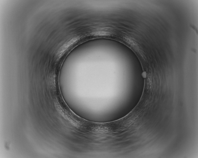 X0000102260535200808011407