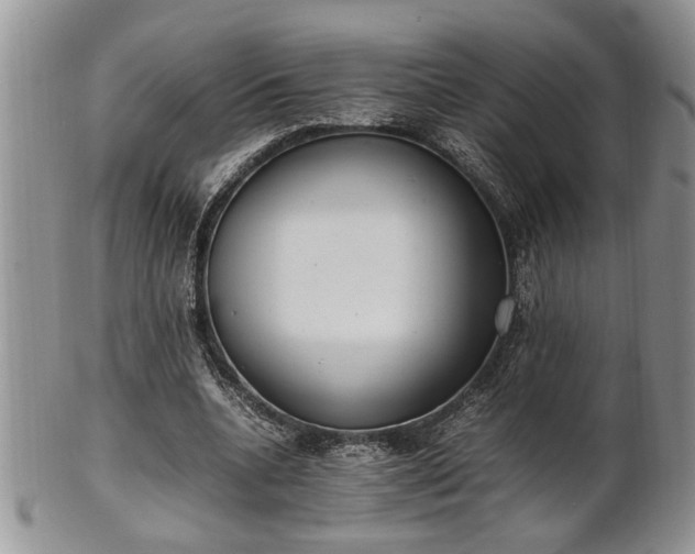 X0000102260536200808011407