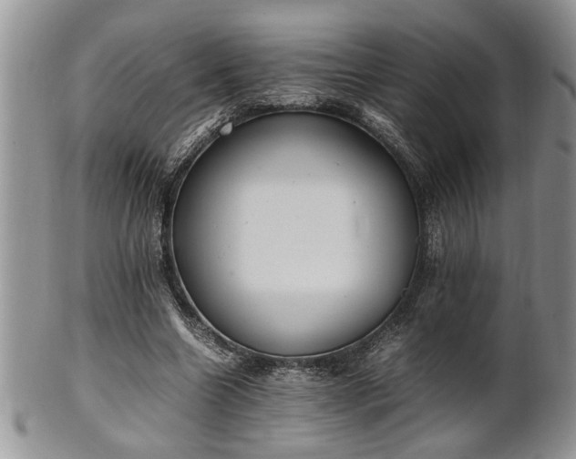 X0000102260538200808011407