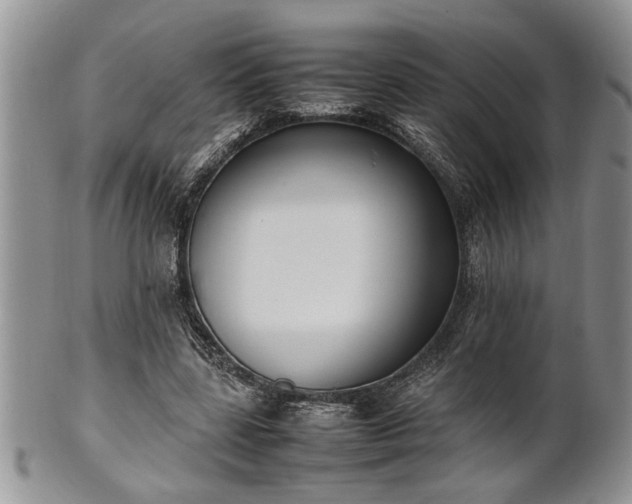 X0000102260539200808011407