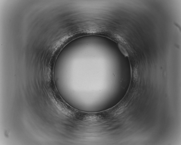 X0000102260540200808011407