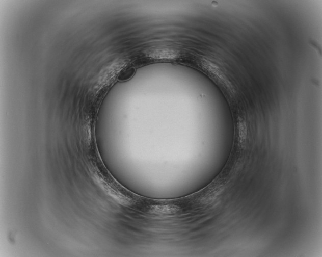 X0000102260541200808011407