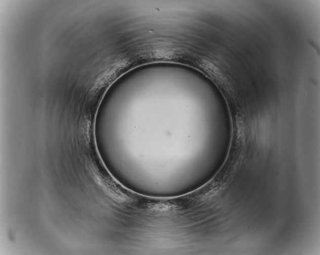 X0000102260542200808011407