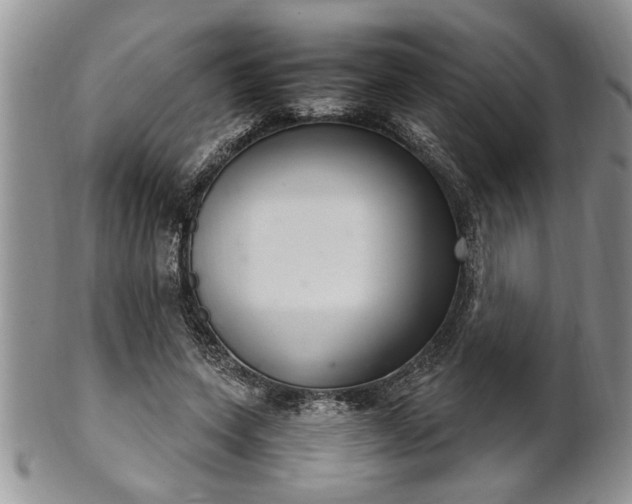 X0000102260543200808011407