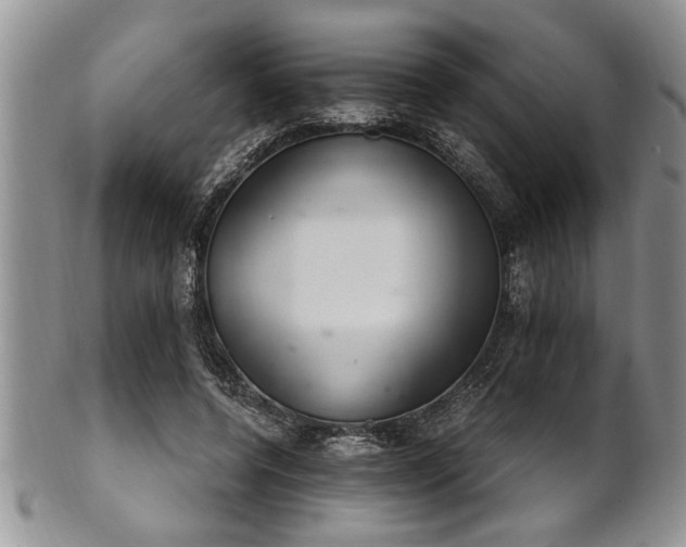 X0000102260544200808011407