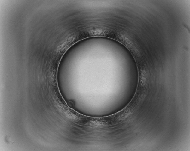 X0000102260545200808011407