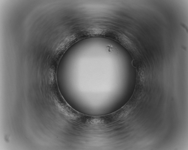 X0000102260546200808011407