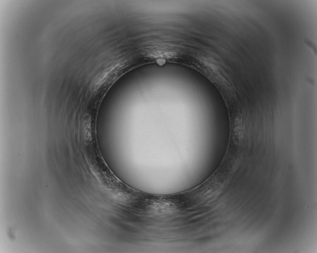 X0000102260547200808011407