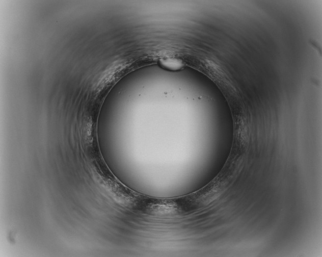 X0000102260548200808011407