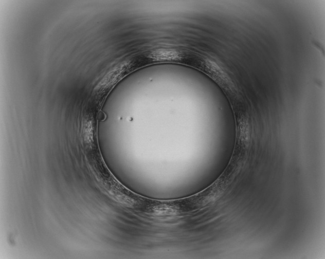 X0000102260549200808011407