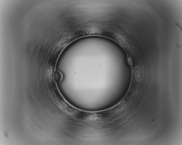 X0000102260550200808011407