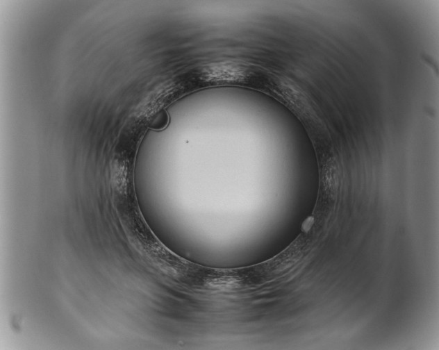 X0000102260551200808011407