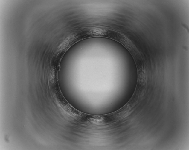 X0000102260552200808011407