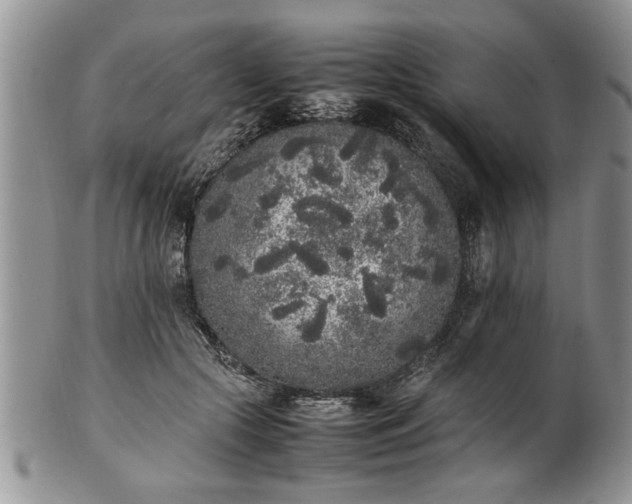 X0000102260553200808011407