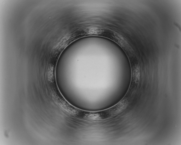 X0000102260554200808011407