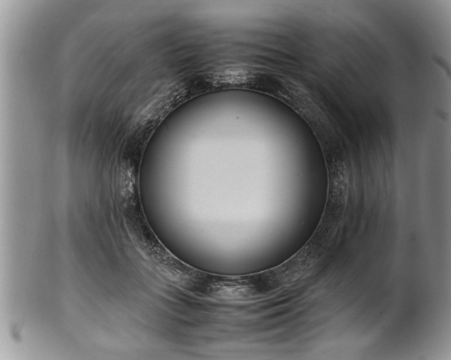 X0000102260555200808011407