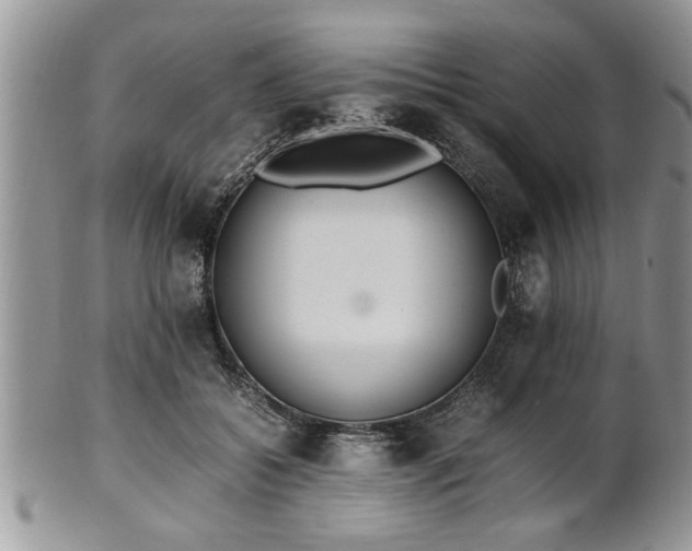 X0000102260556200808011407