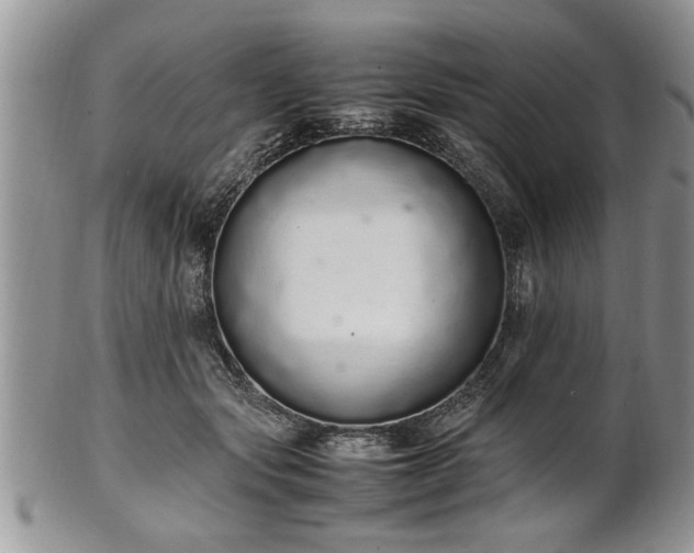 X0000102260557200808011407