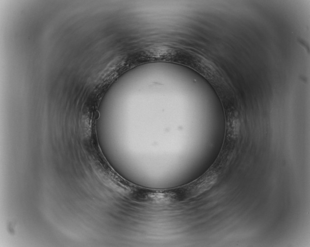 X0000102260558200808011407