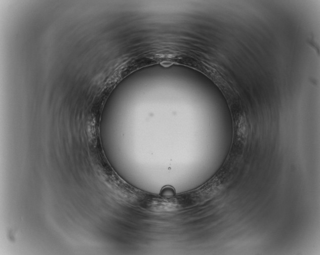 X0000102260559200808011407