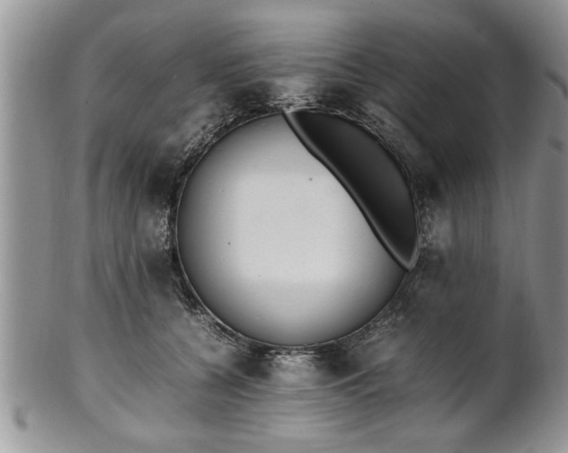 X0000102260560200808011407