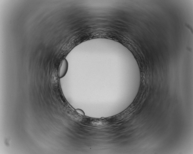 X0000102260561200808011407