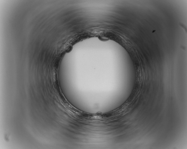 X0000102260562200808011407