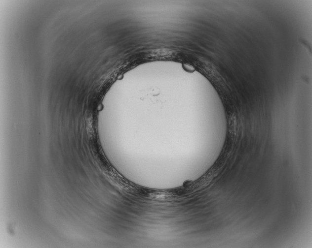 X0000102260564200808011407