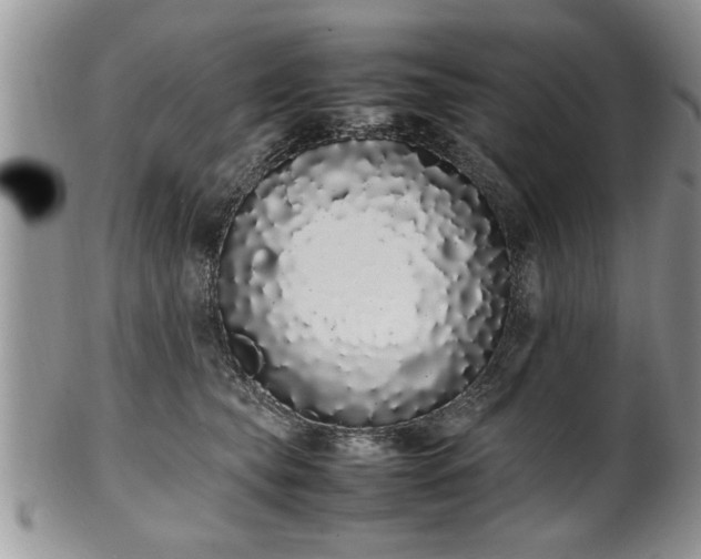 X0000102260565200808011407