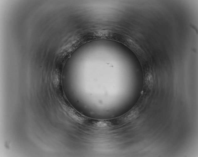 X0000102260566200808011407