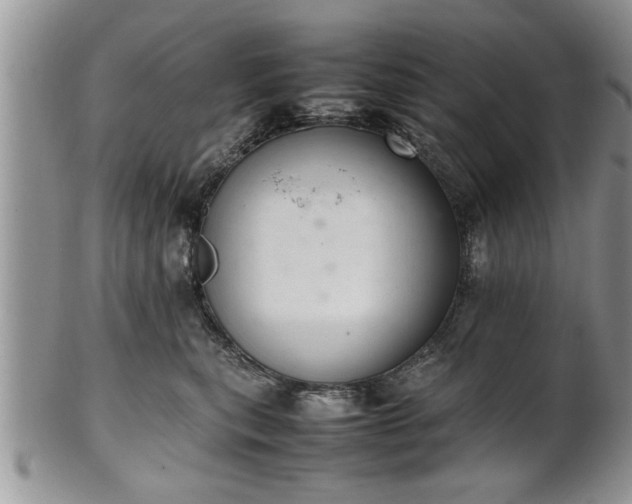 X0000102260567200808011407