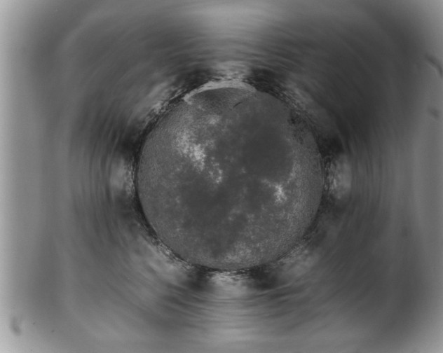 X0000102260568200808011407