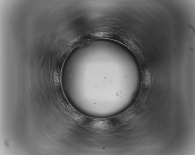 X0000102260569200808011407