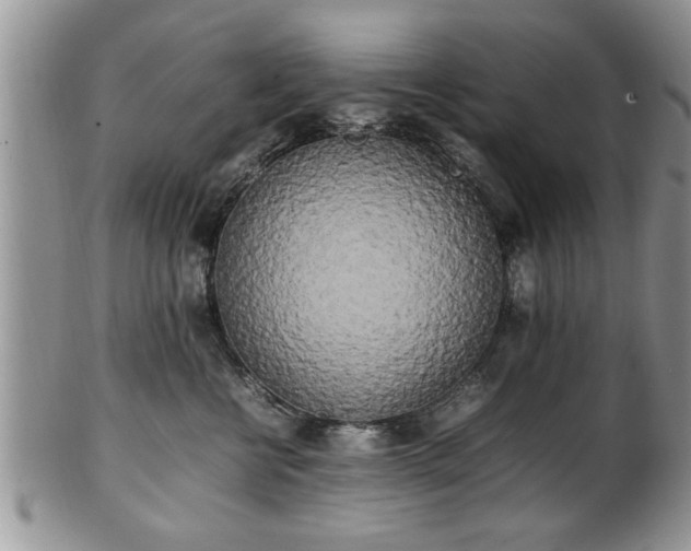 X0000102260570200808011407