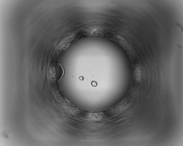 X0000102260571200808011407