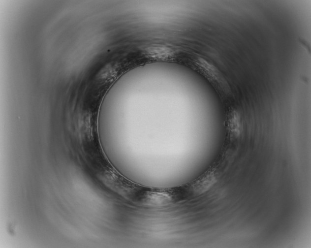 X0000102260572200808011407