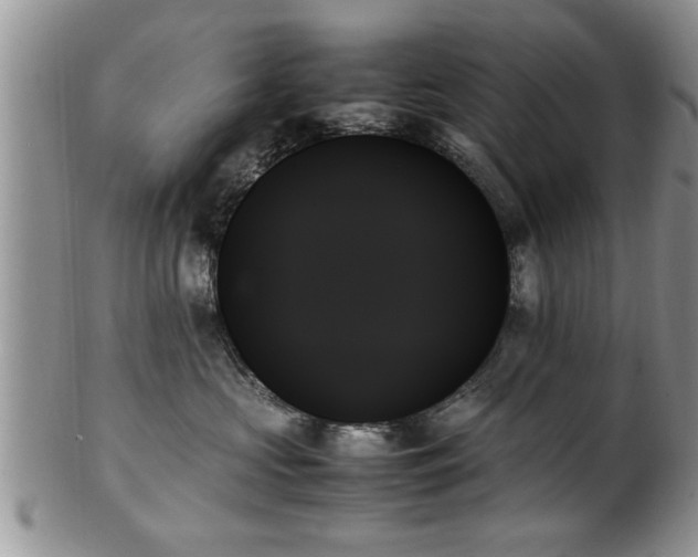 X0000102260573200808011407