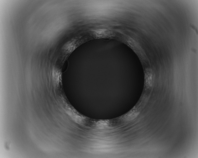 X0000102260574200808011407