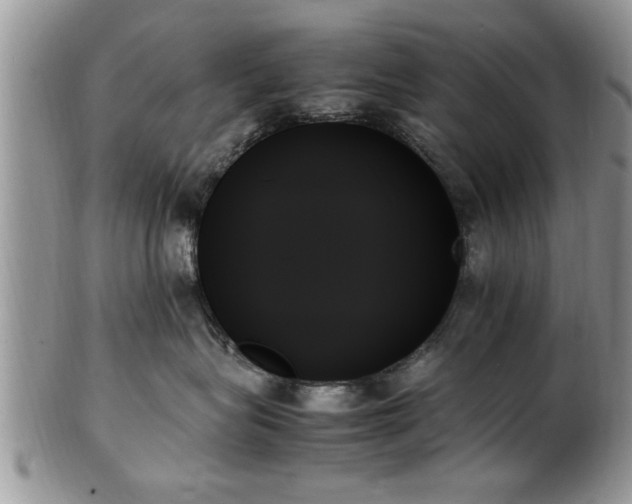 X0000102260575200808011407