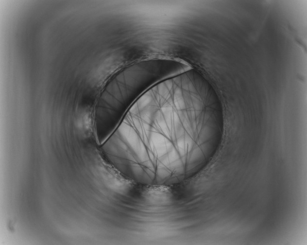 X0000102260576200808011407