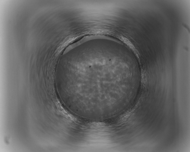 X0000102260577200808011406