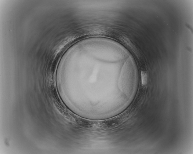 X0000102260579200808011406