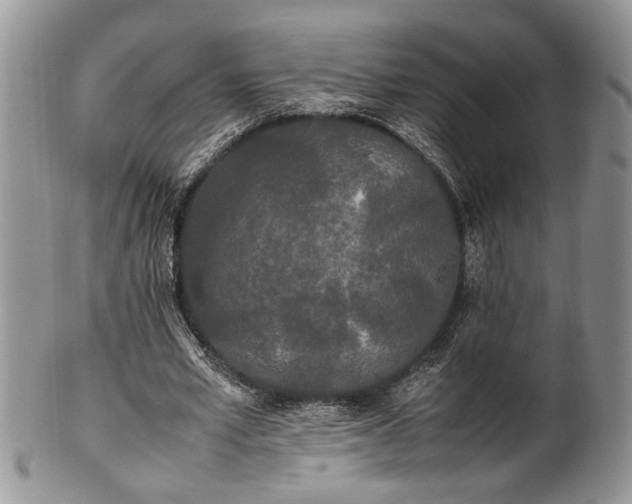 X0000102260581200808011406